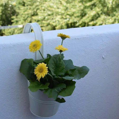 Peneco Ii Apartamento Albufeira