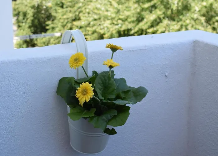 Peneco Ii Apartament Albufeira